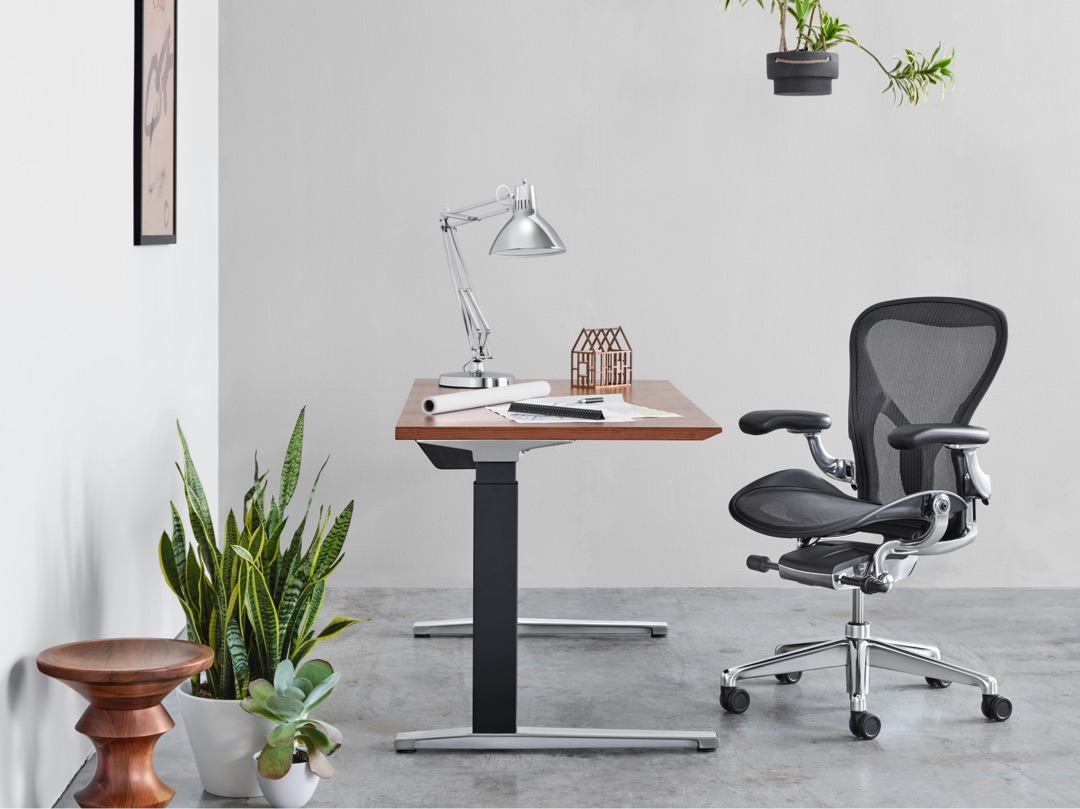 Office setting including potted plants, an Eames Walnut Stool, Renew Sit-to-Stand Table, and new Aeron Chair in Carbon finish with polished aluminum frame and base